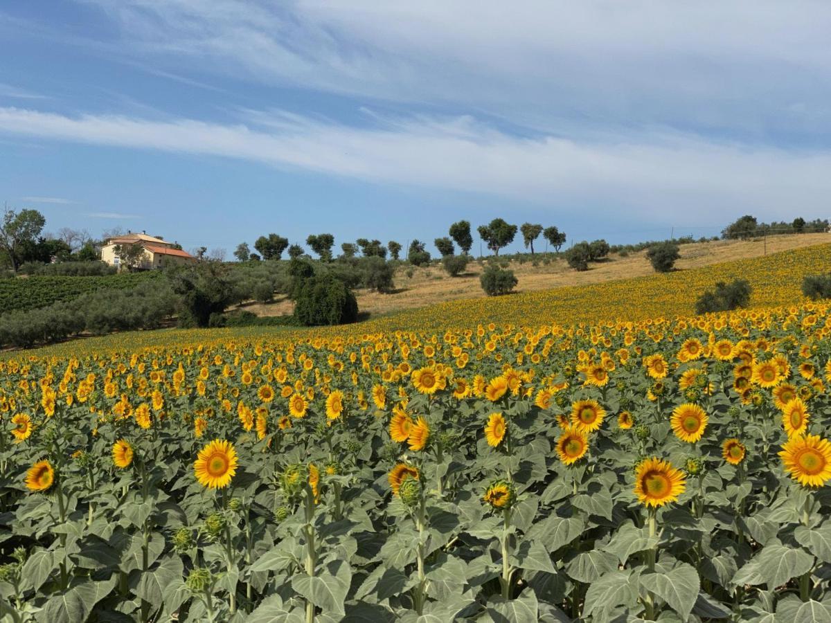 Girasole Lägenhet San Marcello  Exteriör bild